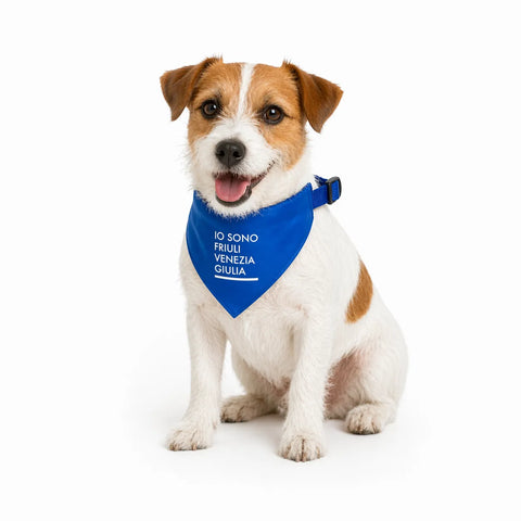 Collare bandana per cani regolabile blu con logo bianco Io Sono Friuli Venezia Giulia indossato