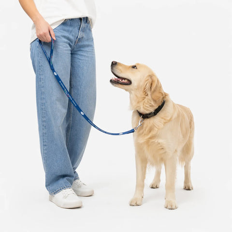 Guinzaglio per cani blu con logo Io Sono Friuli Venezia Giulia indossato